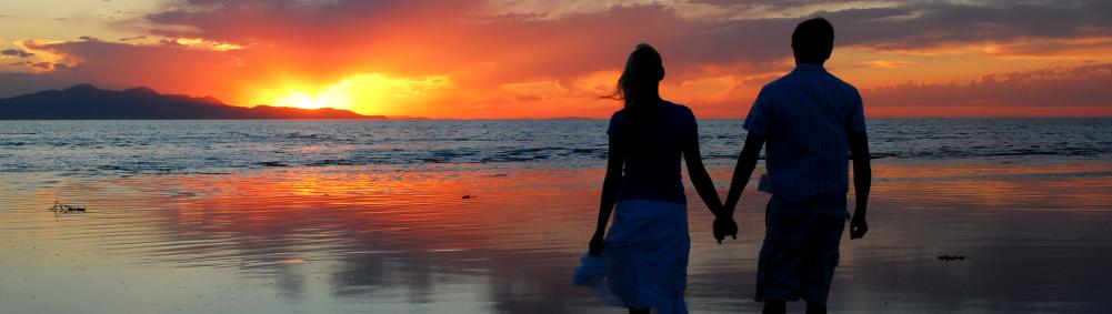 couple holding hands with sunset